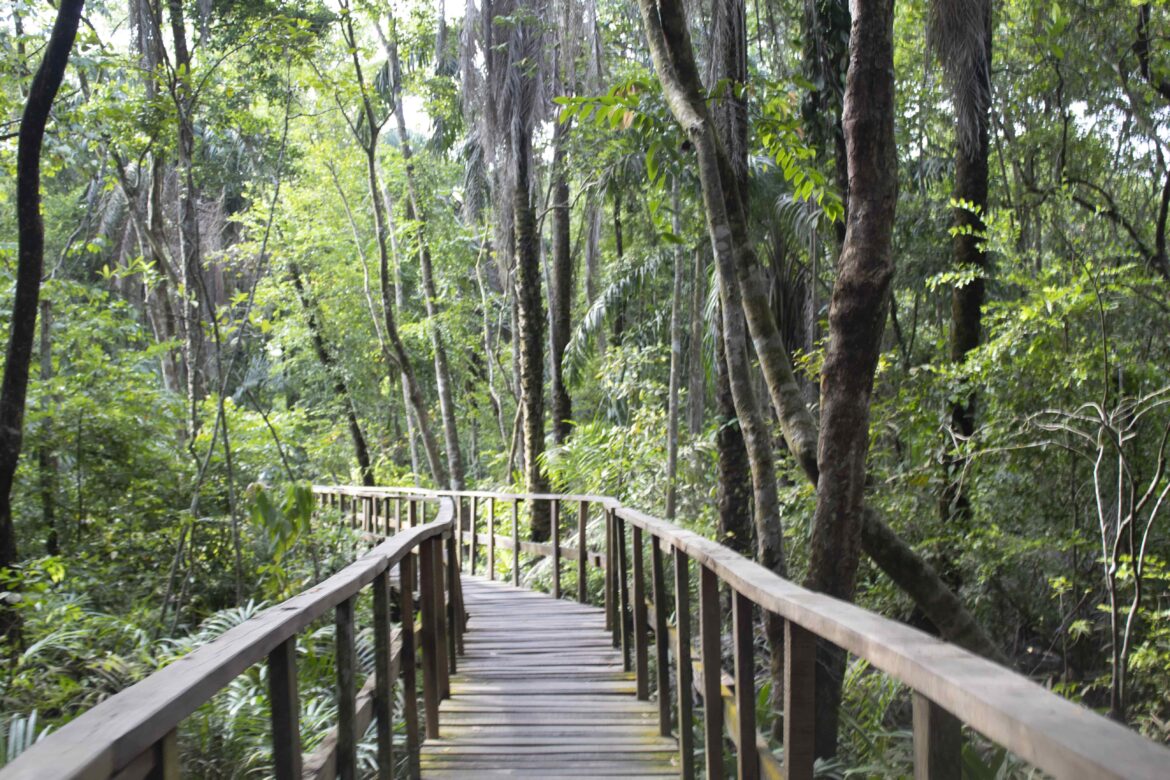 Celebrating Children’s Day in Nigeria Top Places to Visit Celebrating Children's Day in Nigeria: Top Places to Visit